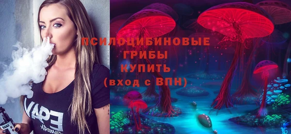 шишки Гвардейск