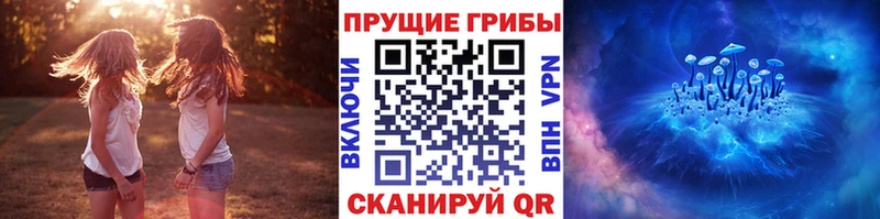 Псилоцибиновые грибы прущие грибы купить закладку Колпашево