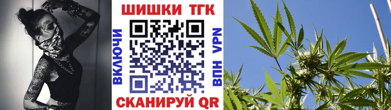 Конопля конопля  продажа наркотиков  Колпашево 